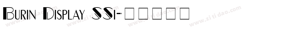 Burin Display SSi字体转换